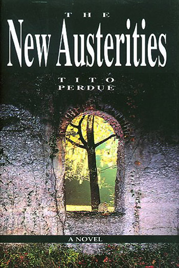 The New Austerities Book